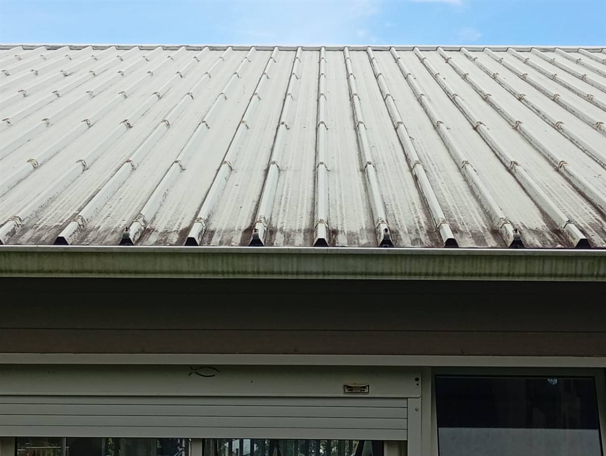 Gros plan d'une toiture en tôle avec vis de fixation et traces de rouille avant réparation
